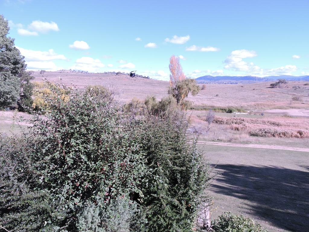Siesta Villa Jindabyne Eksteriør billede